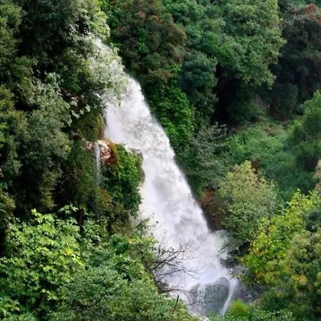 Sofia's Bella Vista Pagoi